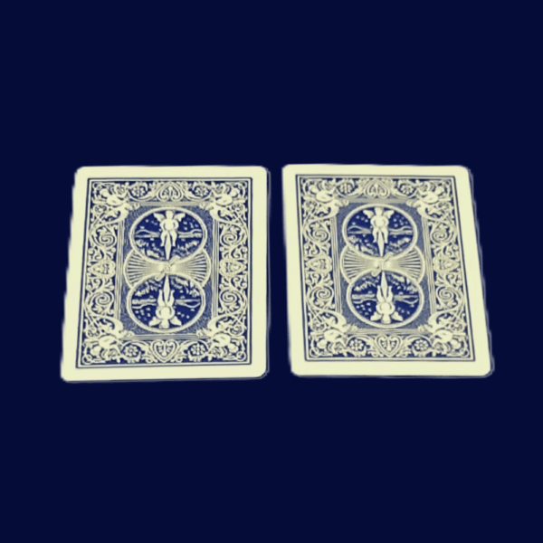 【5216】The Secret Mathematician 解説
