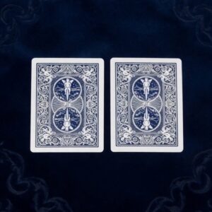 【5216】The Secret Mathematician 解説